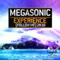 Experience (Follow me) 2K10 (Accuface High Energy Mix)