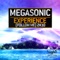 Experience (Follow Me) 2k10 [Bedrud Remix] - Megasonic lyrics