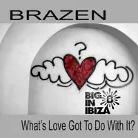 What's Love Got to Do With It? (Love Assassins Mix) — Brazen