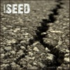 Seed - Single