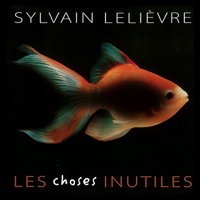 Les choses inutiles - Sylvain Lelièvre
