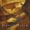 David Tolk - Still, Still, Still