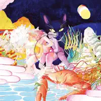 Kimmi In a Rice Field (Balam Acab Remix) — Mr Twin Sister
