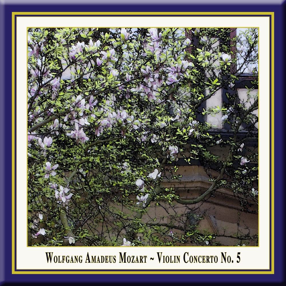 Обложка альбома «Mozart: Violin Concerto No. 5, "Turkish" - Single» — Linus Roth