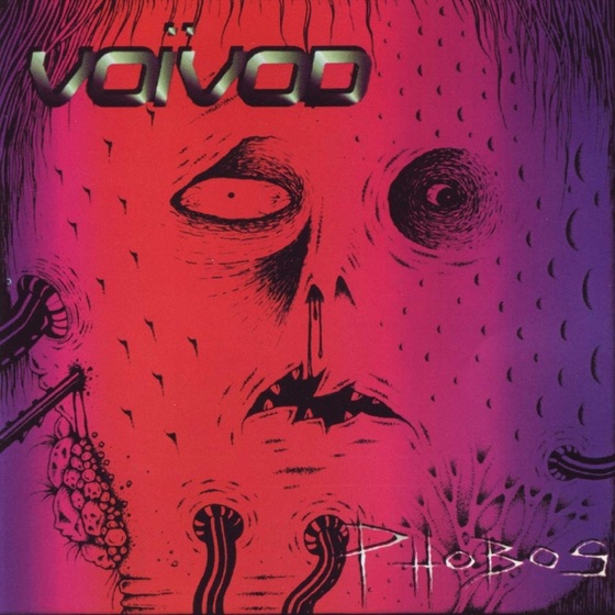 Cover artwork for Bacteria