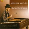 Master of the Gypsy Cimbalom