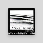 String Bridges