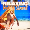 Relaxing Nature Sound, 2010