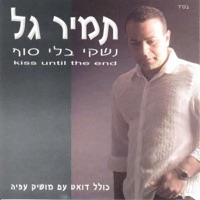 נשקי בלי סוף - Tamir Gal