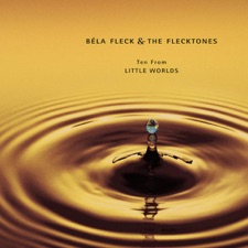 Béla Fleck and the Flecktones - Next - Edit