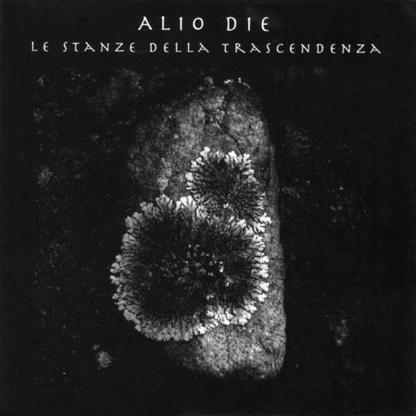 Cover of Le stanze della trascendenza