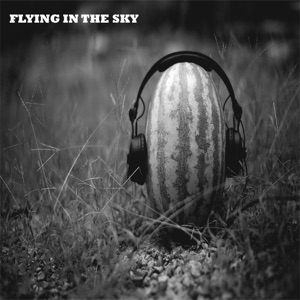 Flying In the Sky - Single