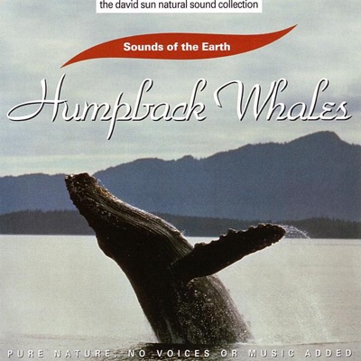 Humpback Whales-thumbnail