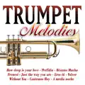 Instrumental