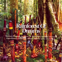 Rainforest Of Dreams - Ash Dargan