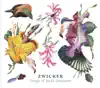 Zwicker - Who You Are (feat. Heidi Happy)