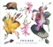 Dragon Fly (feat. Billy Oden) [Album Version] - Zwicker lyrics