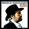 George Jones & Merle Haggard - It's Been a Great Afternoon (Re-Recorded)
