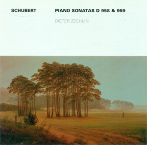 Schubert: Piano Sonatas Nos. 19 and 20