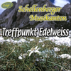 Treffpunkt Edelweiss, Folge 2 - Schellenberger Musikanten