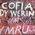 Cofia Dy Werin