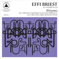 Cousins — Effi Briest