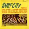 The Lively Ones - Sleep Walk (LP Version)