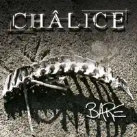 Hold On To The Years — Chalice
