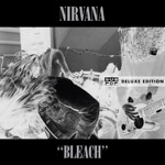 Nirvana - Floyd the Barber