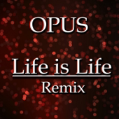 Life Is Life (Julian B. Remix) song art