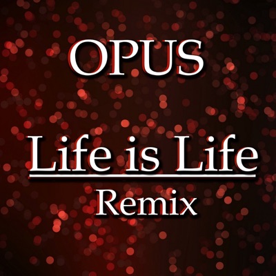 Life Is Life (Julian B. Remix) - Single