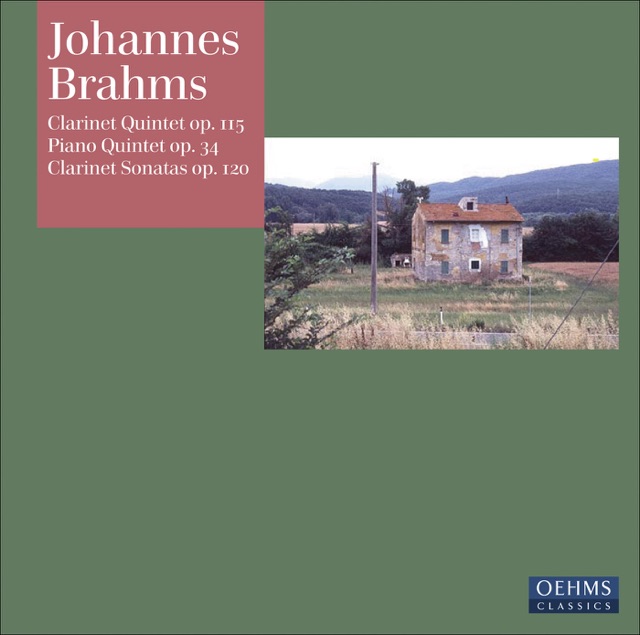 Brahms, J.: Clarinet Quintet - Piano Quintet - Clarinet Sonatas Nos. 1 and 2