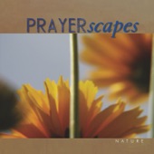 Prayerscapes - Nature artwork