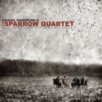 Abigail Washburn & The Sparrow Quartet - Banjo Pickin' Girl