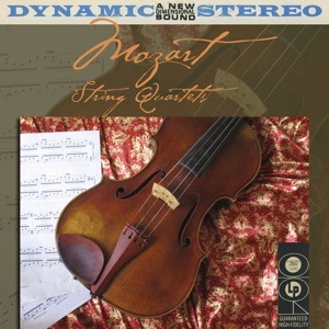 String Quartet No. 15 In D Minor - Allegro