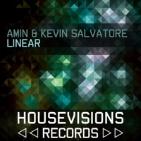 Linear - Single - amin & Kevin Salvatore