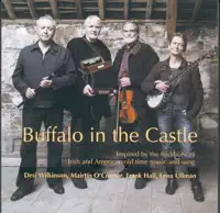 Jack N Biddy's Son John — Buffalo In The Castle