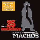 25 Bandazos de Machos, Vol. 1 artwork