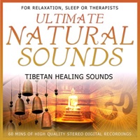 Tibetan Healing Sounds - Niall