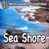 Nature Sounds for Concentration – Sea Shore - Single artwork