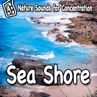 Nature Sounds for Concentration – Sea Shore - Single - Study Music