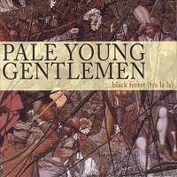 Pale Young Gentlemen - The Crook of My Good Arm