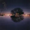 Springset