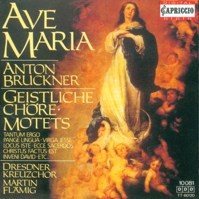 Bruckner: Motets
