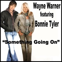 Something Going On - Wayne Warner
