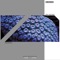 Circular - Jens Buchert lyrics