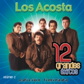 Los Acosta: 12 Grandes Éxitos, Vol. 2