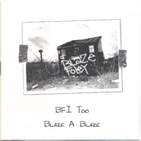 What the Cat Drug In