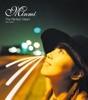 The Perfect Vision (Wicked Mix)