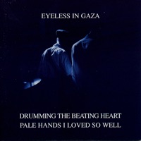 Eyeless In Gaza - Lights of April